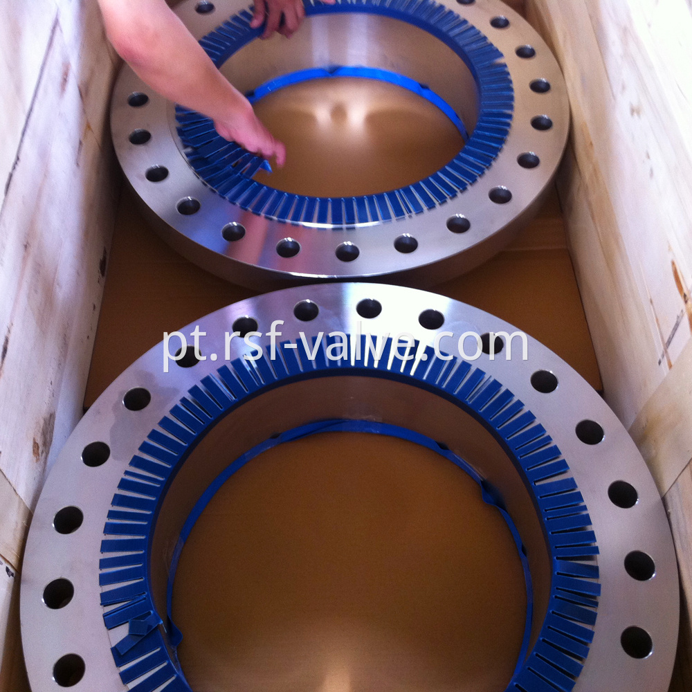 Stainless Steel Flange Wn